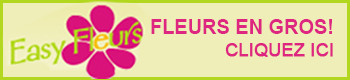 Easy Fleurs