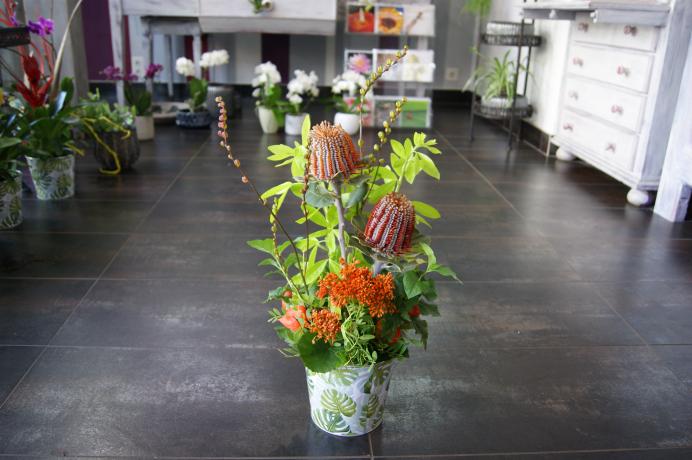 Arrangement pour réception N° 15