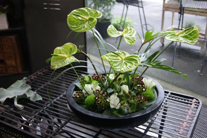 Arrangement pour réception N° 7
