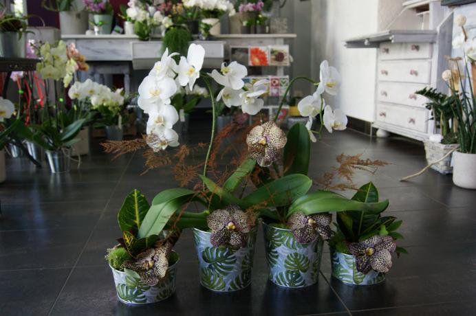 Arrangement pour réception N° 12
