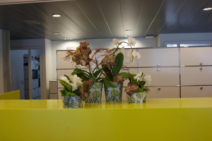 Arrangement pour réception N° 13