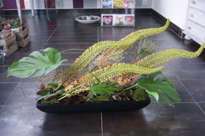 Arrangement pour réception N° 8