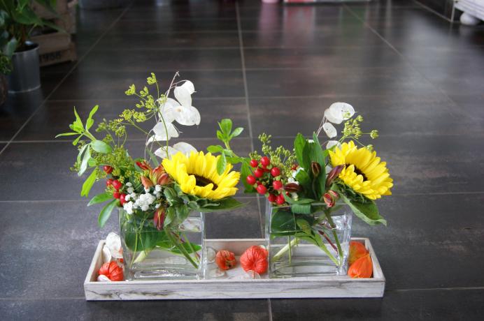 Arrangement pour réception N° 11