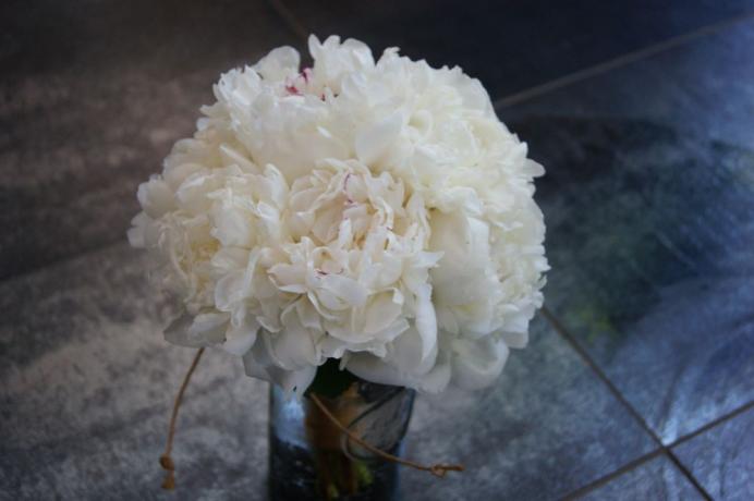 Bouquet de mariée N° 16