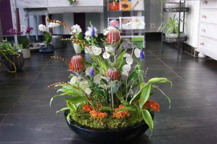Arrangement pour réception N° 14