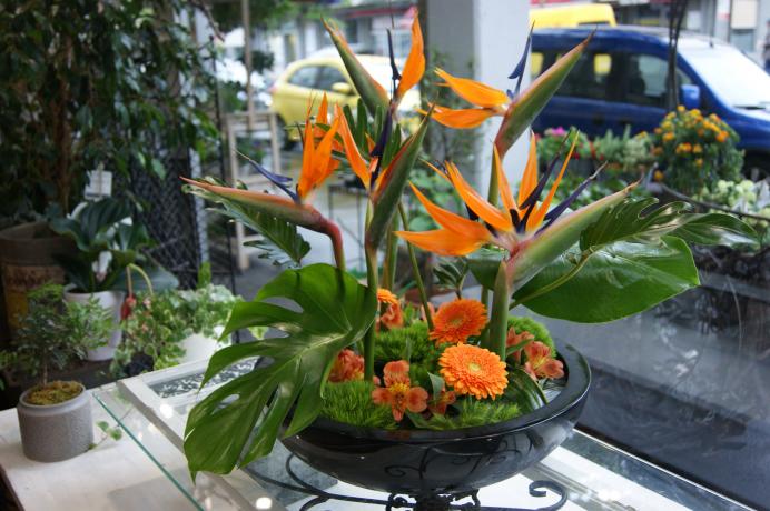Arrangement pour réception N° 6