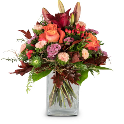 Message d'automne N°14 / Saison