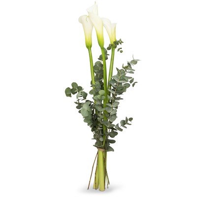 White Elegance (Délai de livraison 24h)  N°23 Pour Homme