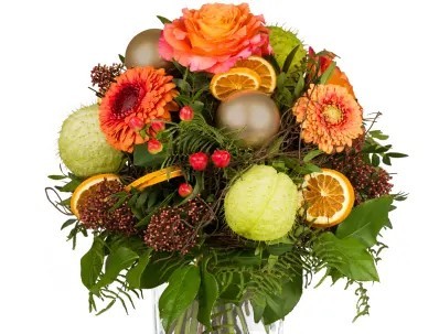 Hiver chaleureux / Saison N° 2