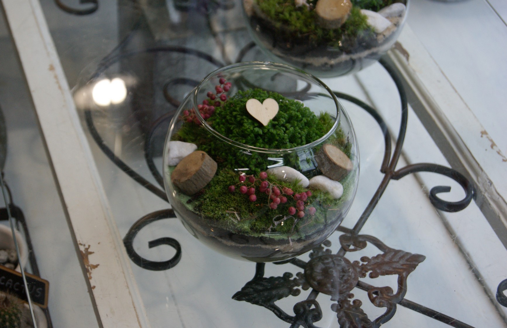 Terrarium N° 11