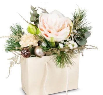 Noël enneigé / Saison N° 7