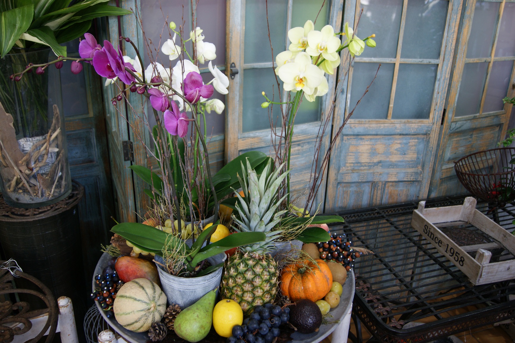 Plateau d'orchidées décoré avec des fruits N°7