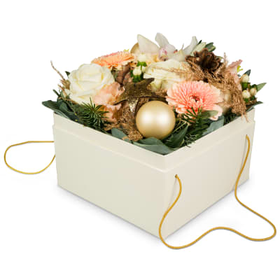 Hiver poudré / Saison N° 4