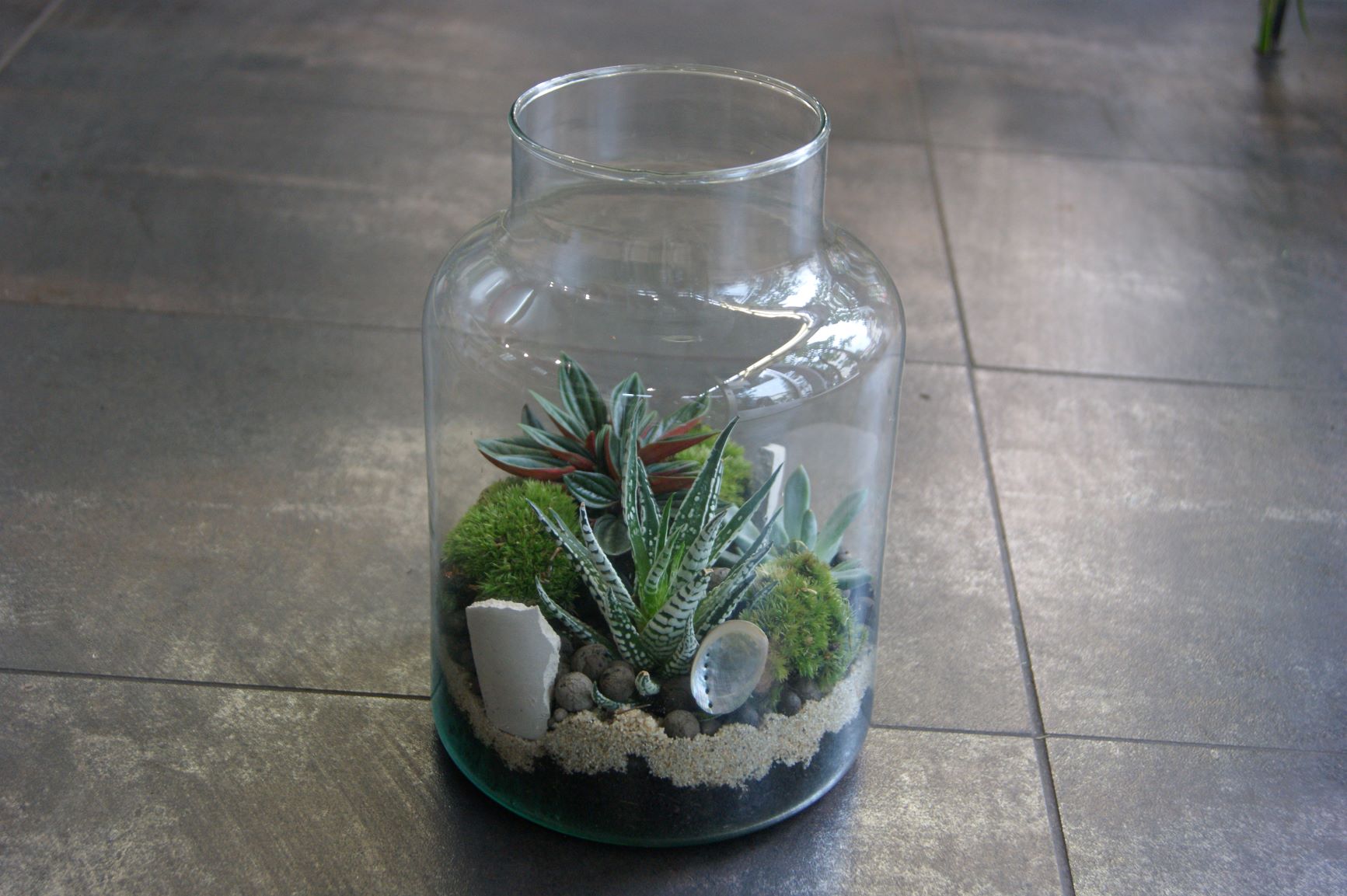 Terrarium N° 25