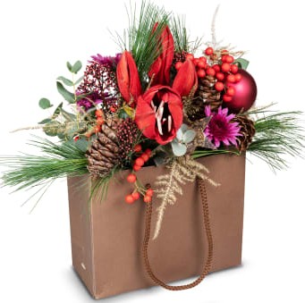 Esprit de Noël / Nöel N° 29