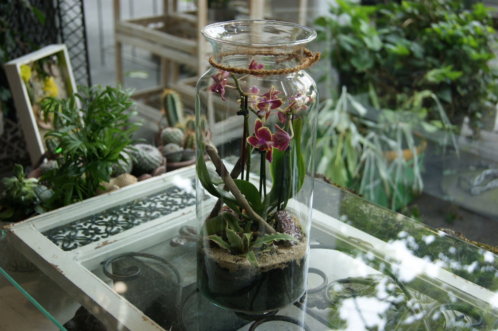 Terrarium N° 14