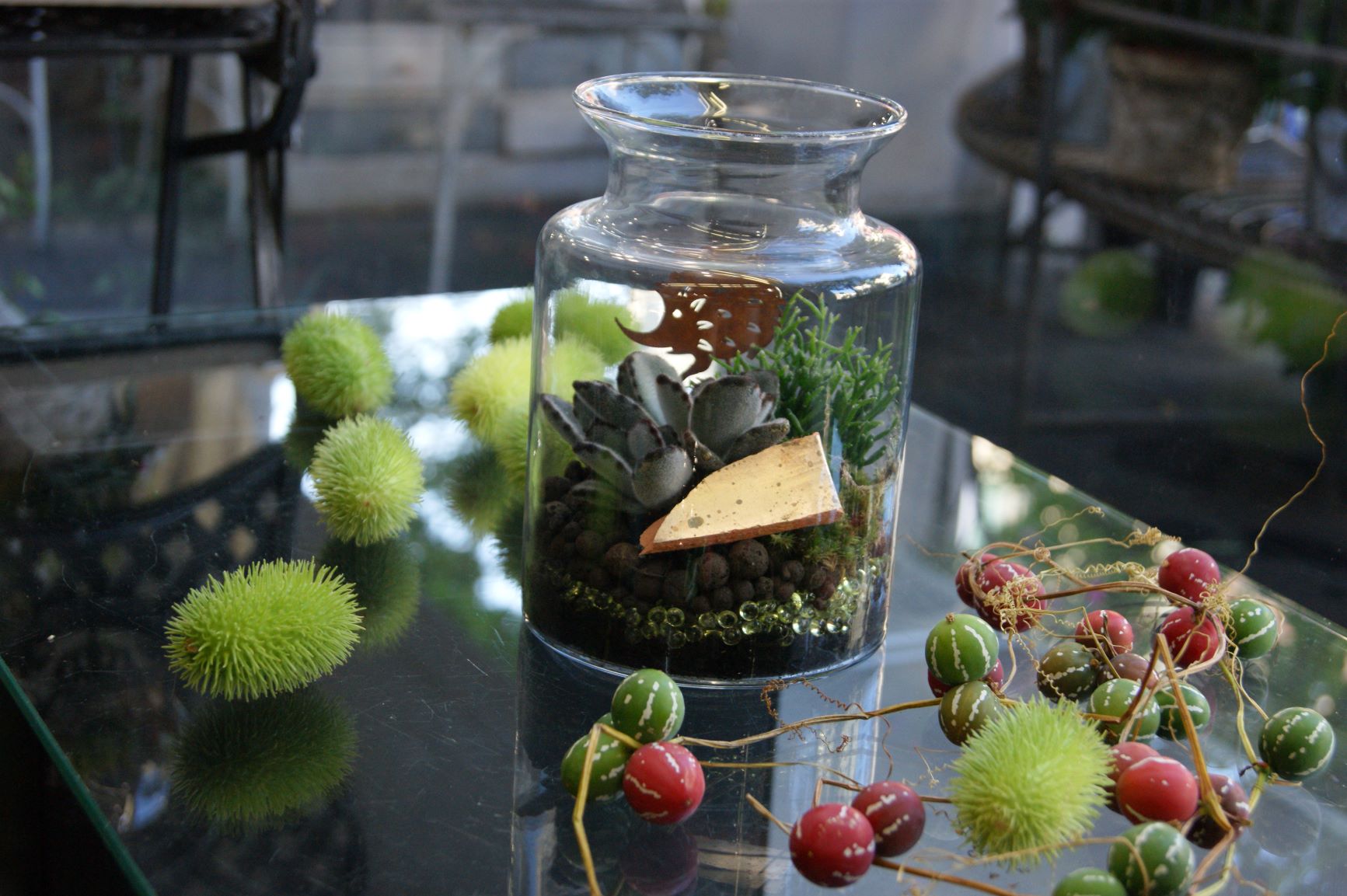 Terrarium N° 35