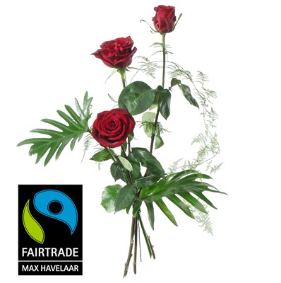3 Roses rouges avec verdure N° 3
