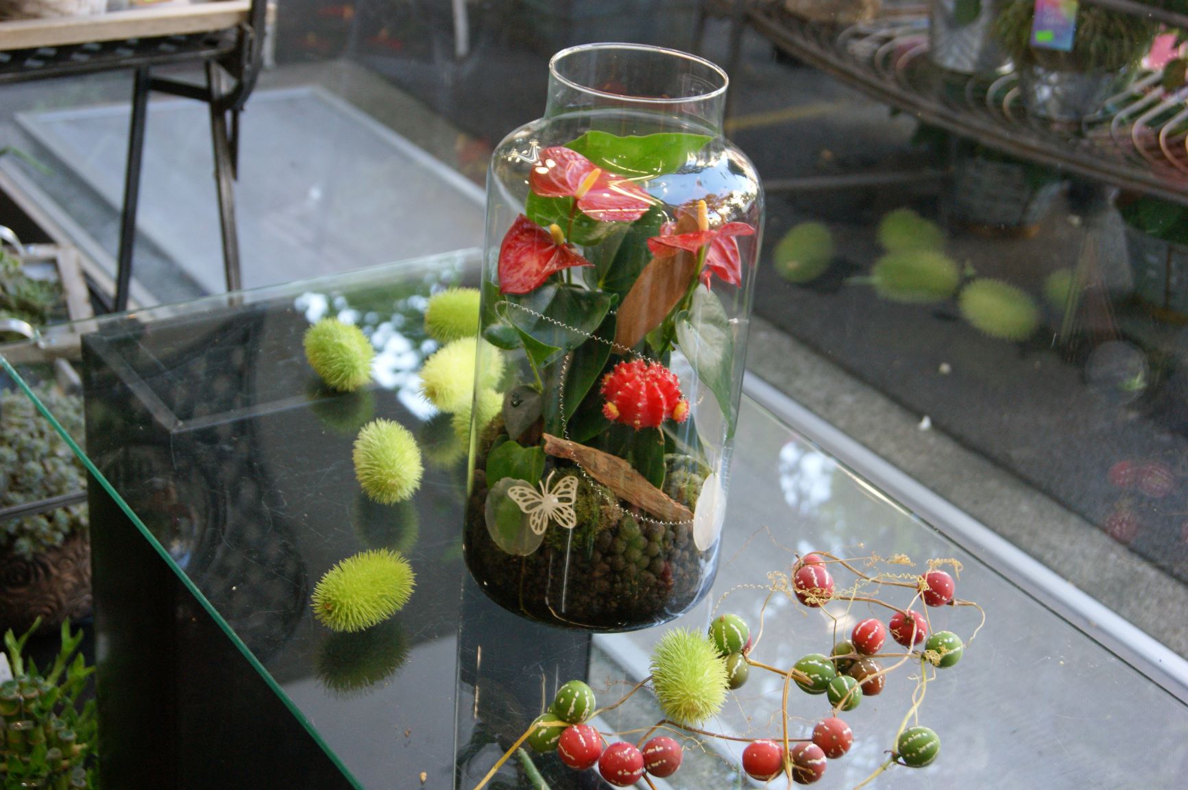 Terrarium N°9 pour Homme
