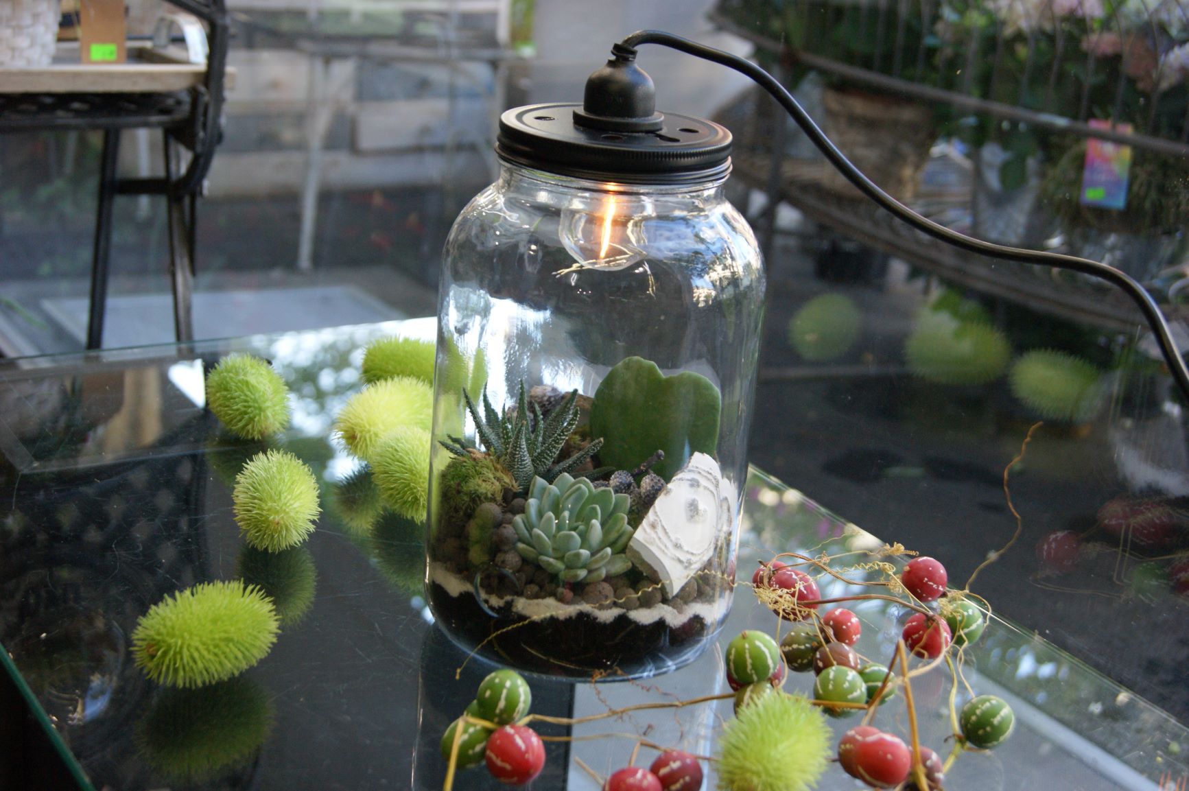 Terrarium N° 34