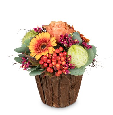Arrangement de saison  N° 15