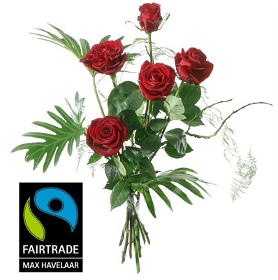 5 Roses rouges avec verdure N° 4