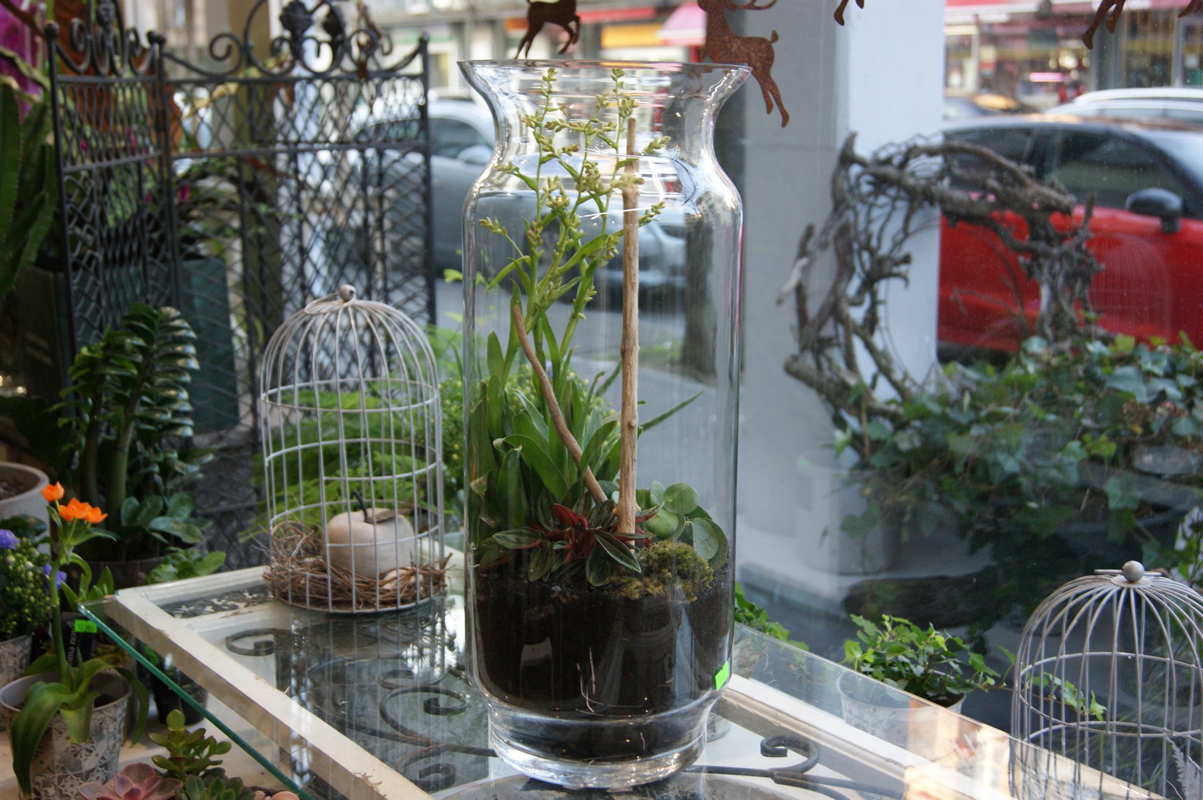 Terrarium N° 12