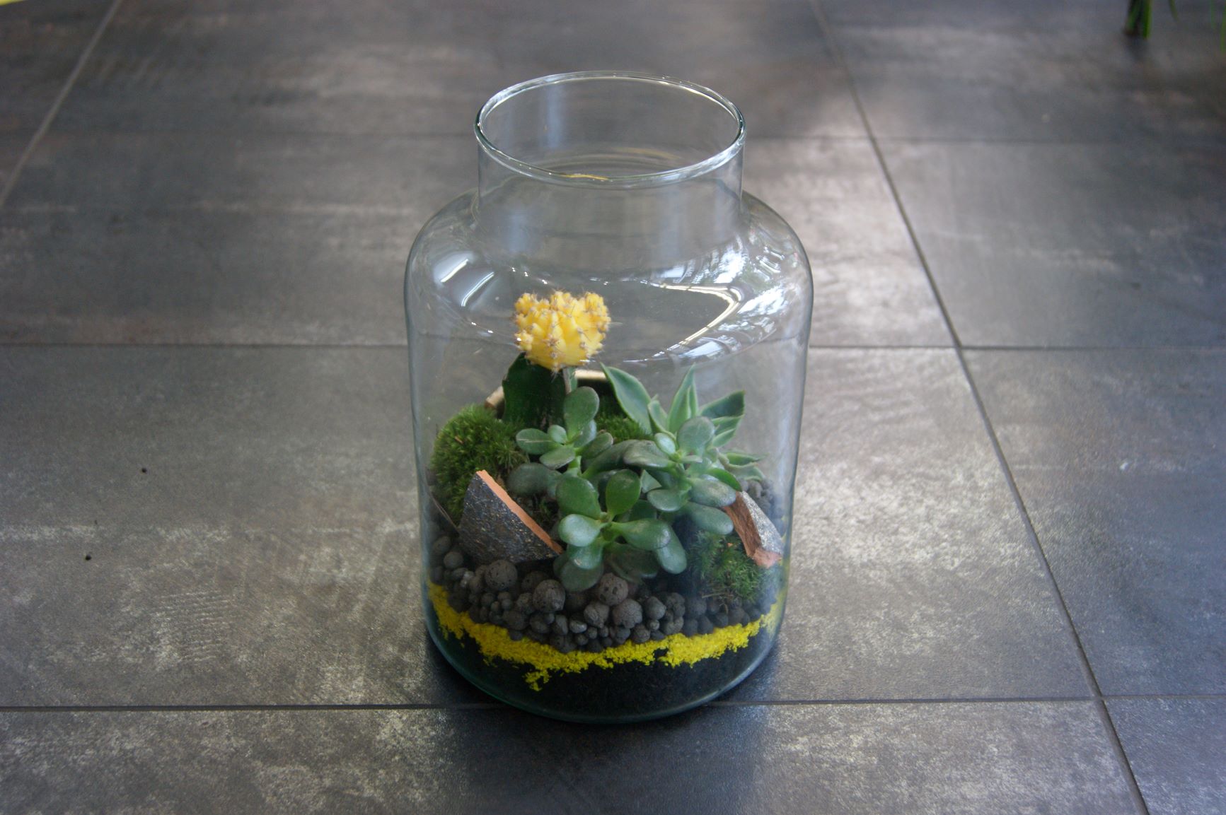 Terrarium N° 27