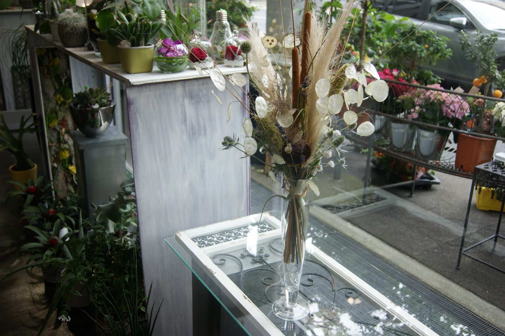 Nature N° 6
