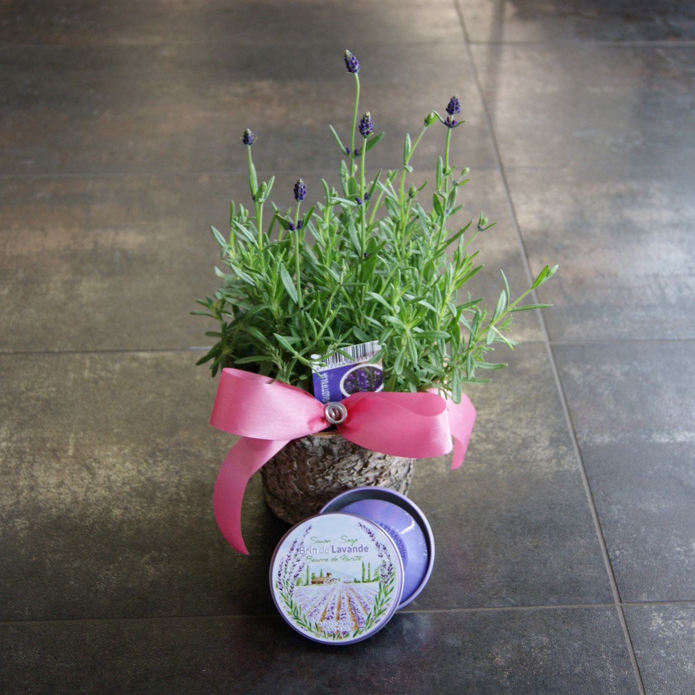 Plante et savon de lavande N°24