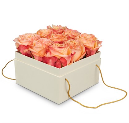 Boîte à fleurs «Vienna» (15 cm) N 25