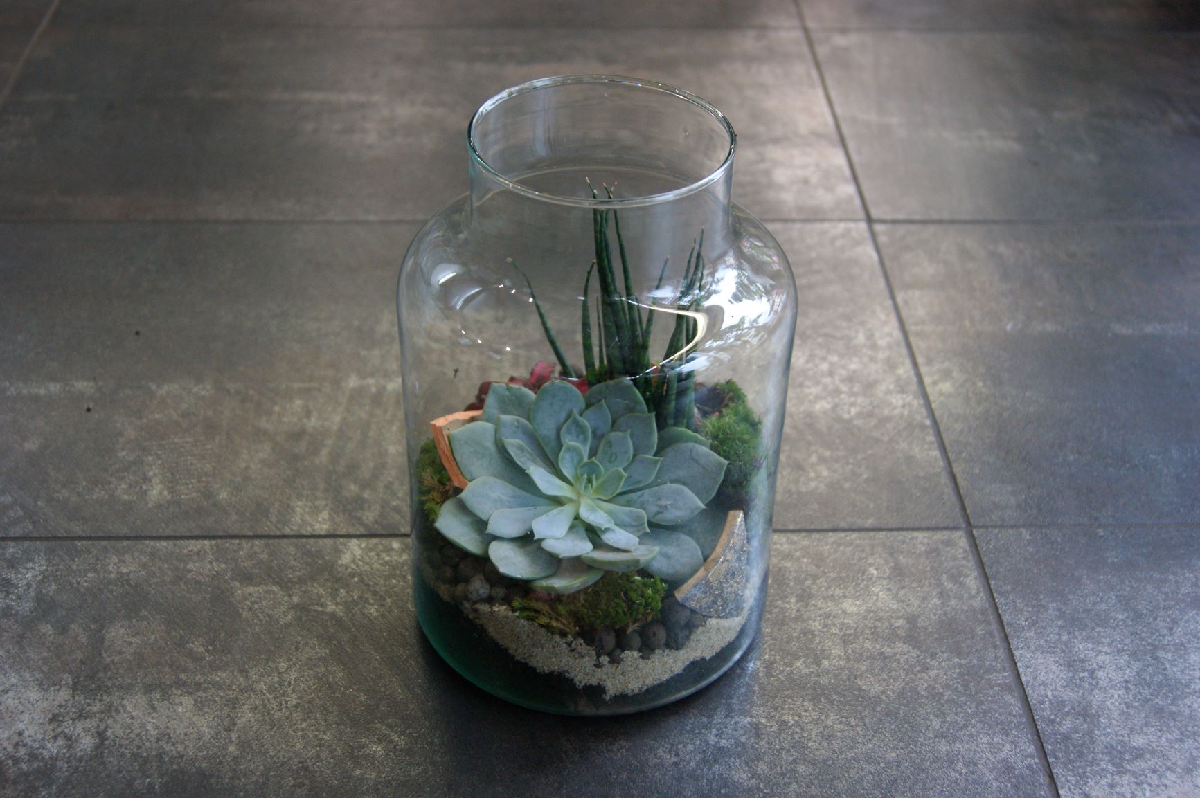 Terrarium N° 28