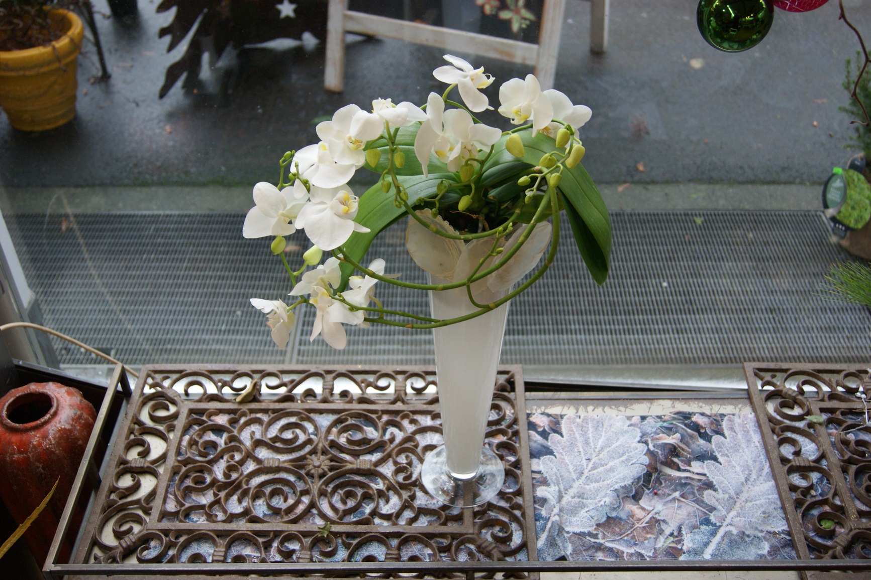 Orchidée blanche spiral avec un vase N° 6