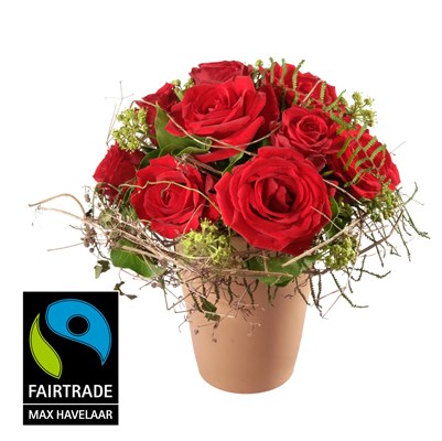 In love ... avec roses rouges N°18