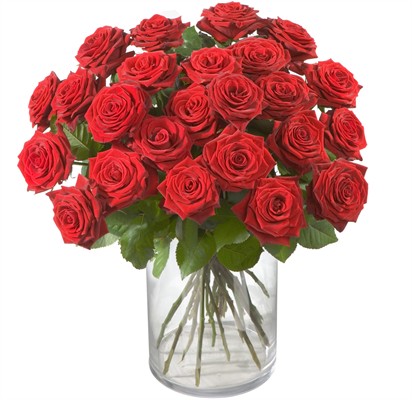 24 Roses rouges  N°7
