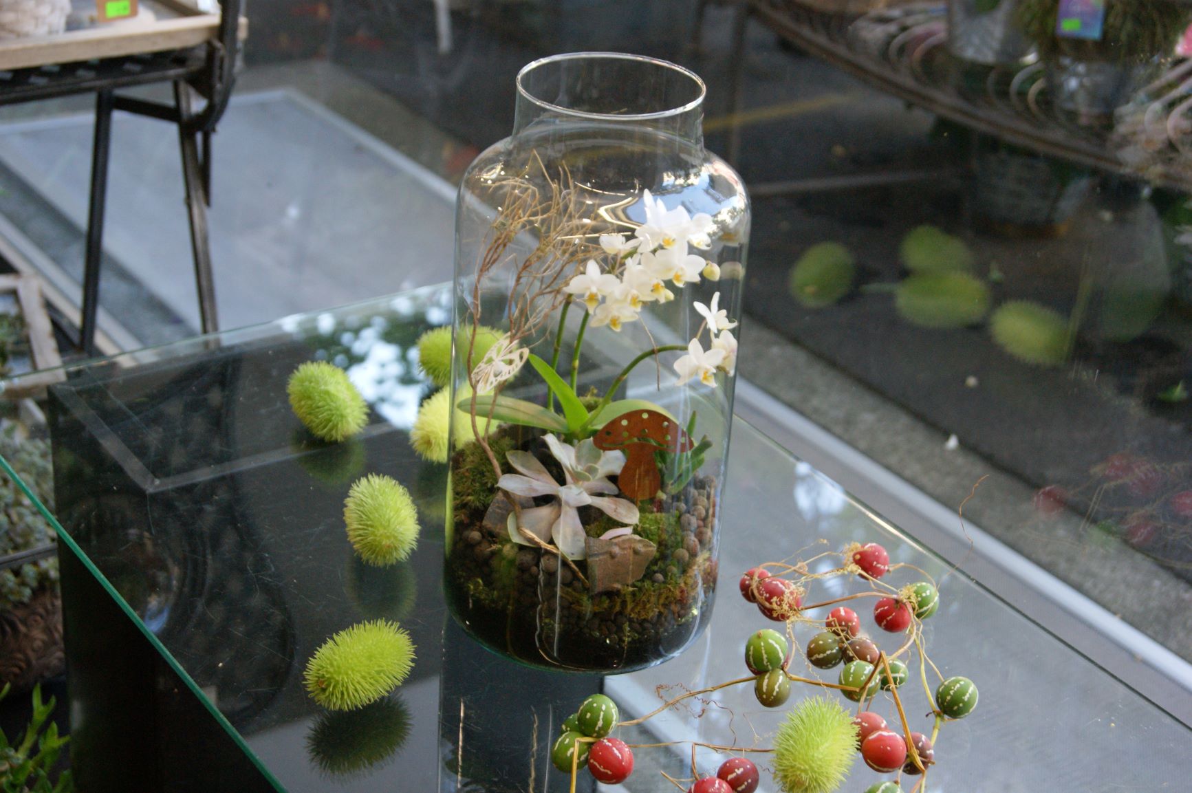 Terrarium N° 29