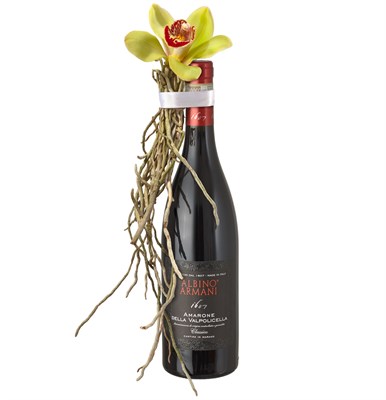 Charmant génie Amarone Albino Armani DOCG (75cl) N°7 Pour Homme
