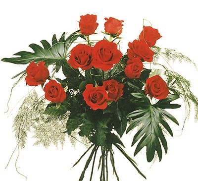 12 Grandes  Roses rouges avec verdures N° 6