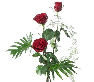 Roses rouges avec verdures N° 1