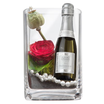 Le petit prince avec prosecco Albino Armani (20cl) N° 10