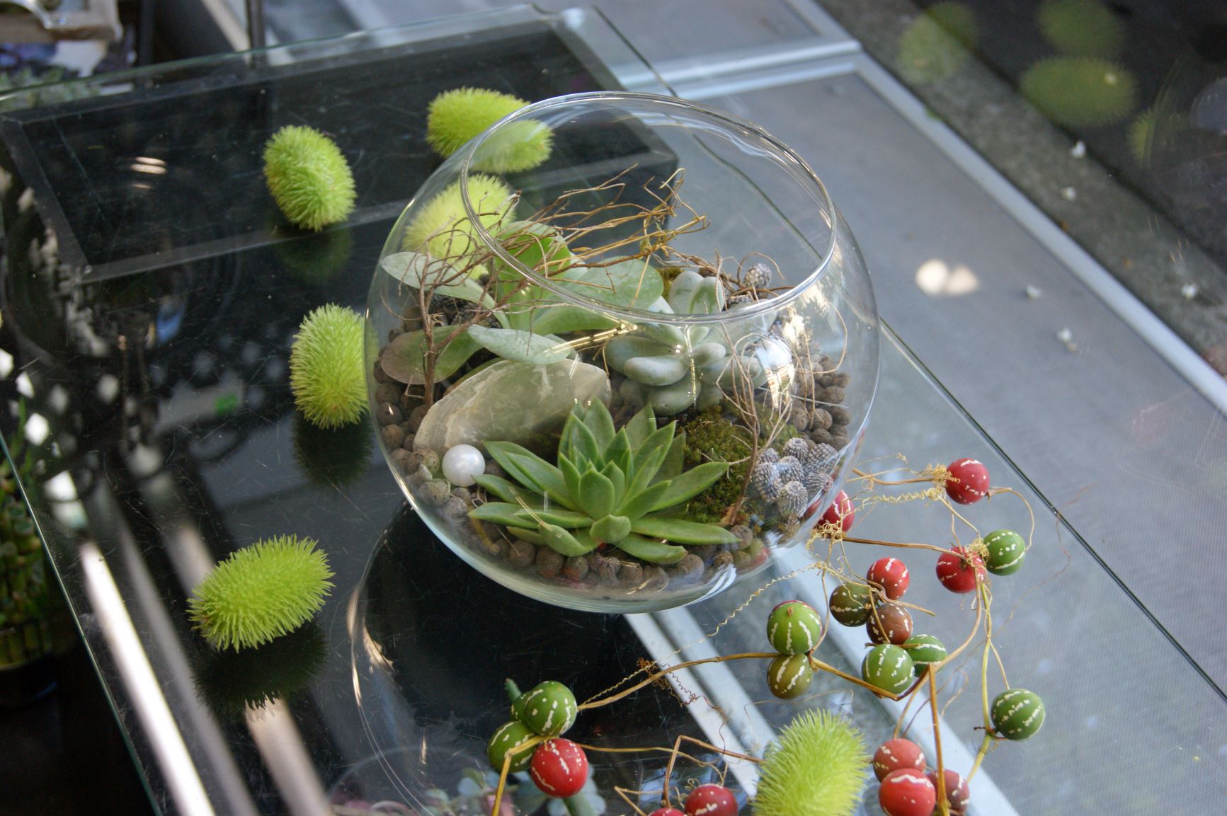 Terrarium N°16 pour Homme