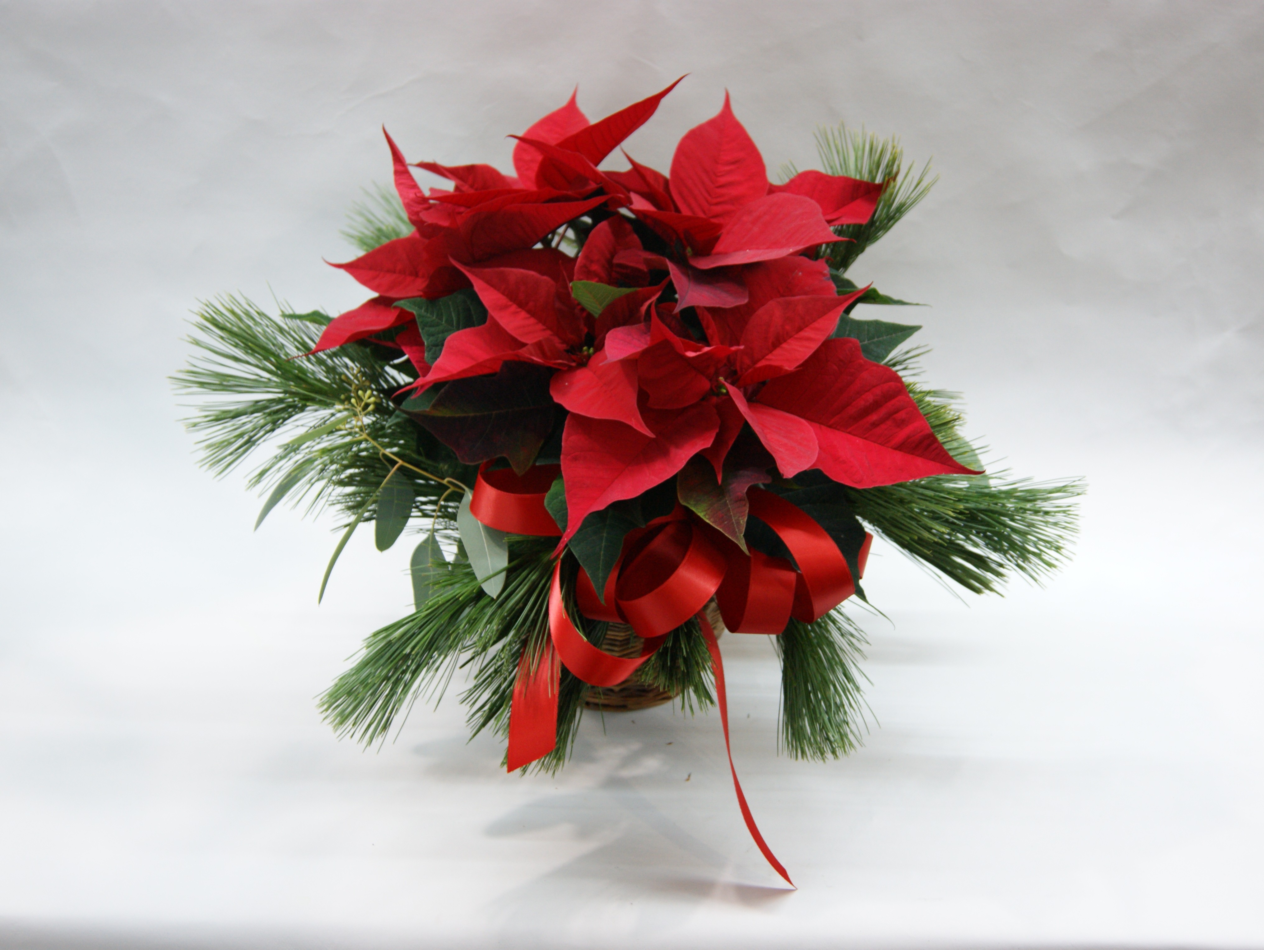 Etoile de Noël décorée N° 17