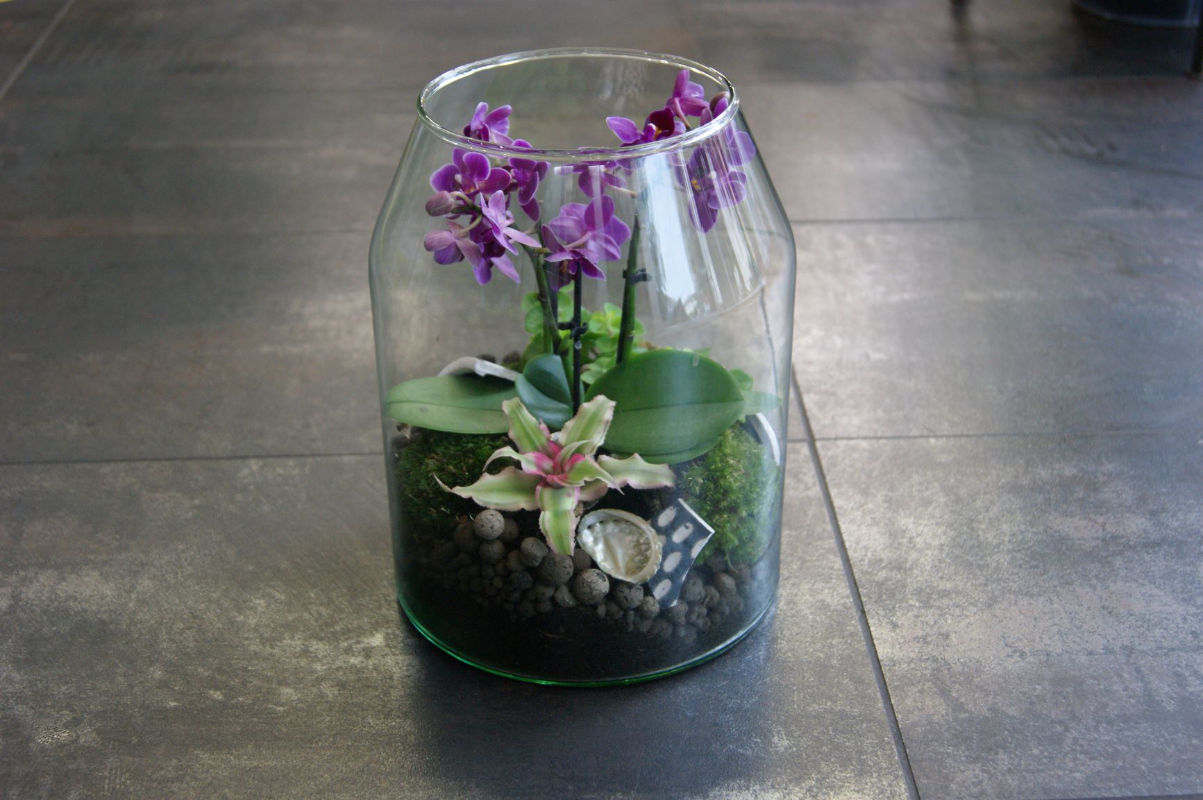Terrarium N° 26