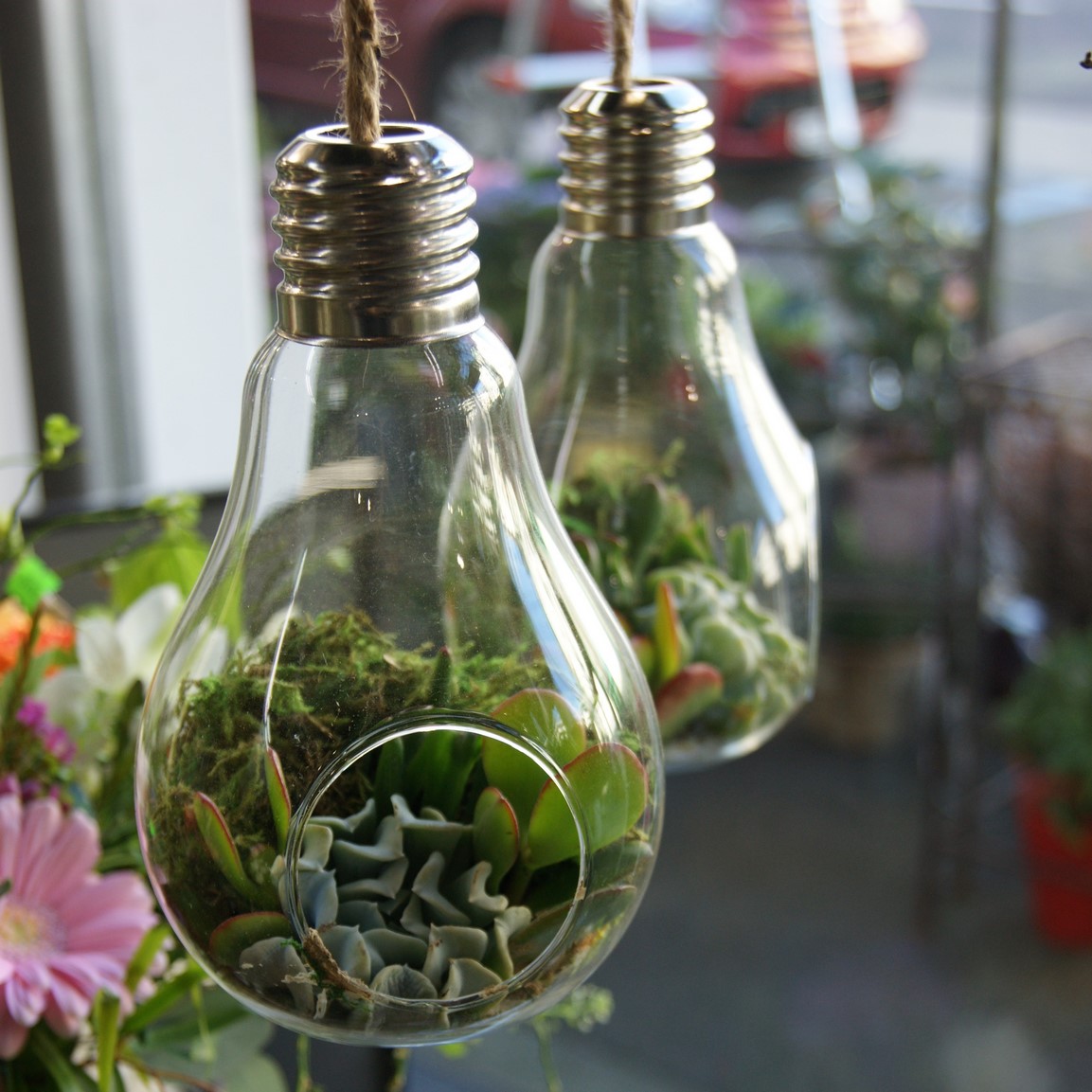 Petite terrine dans une ampoule N° 20