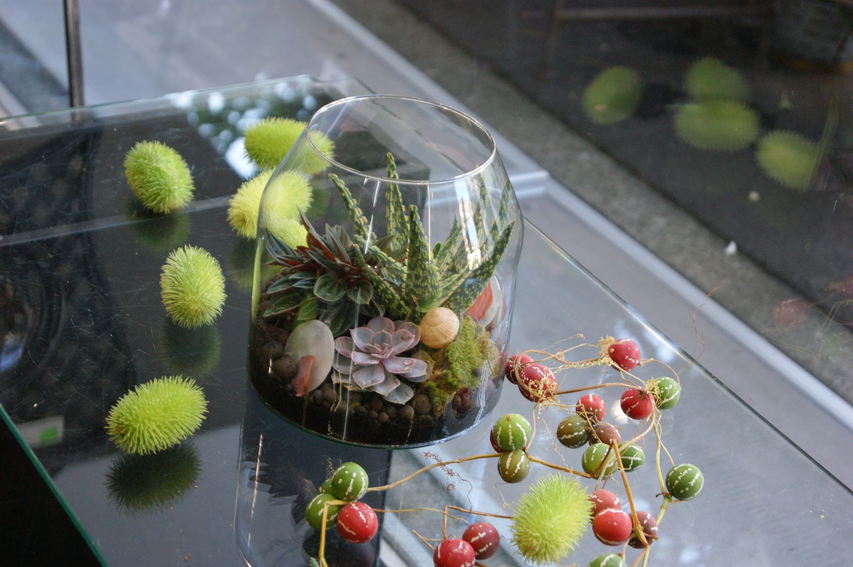 Terrarium N° 32