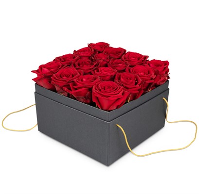 Boîte à fleurs «Paris» (20cm) N°23