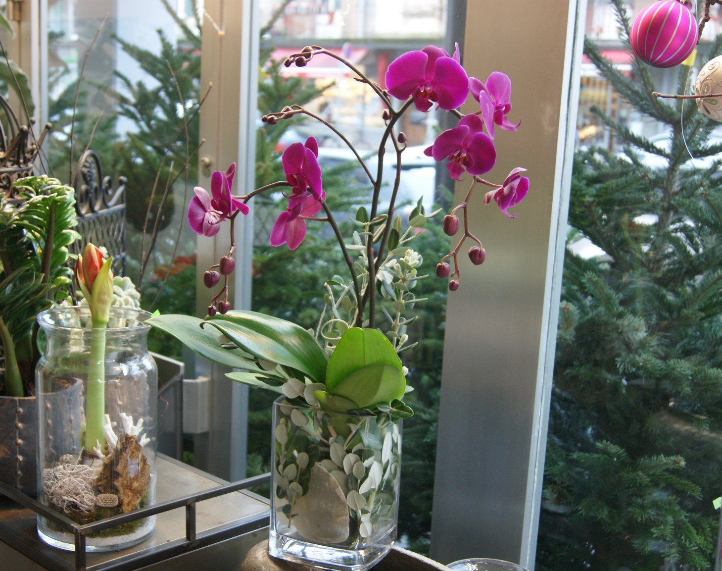 Orchidée fuchsia avec vase N° 3
