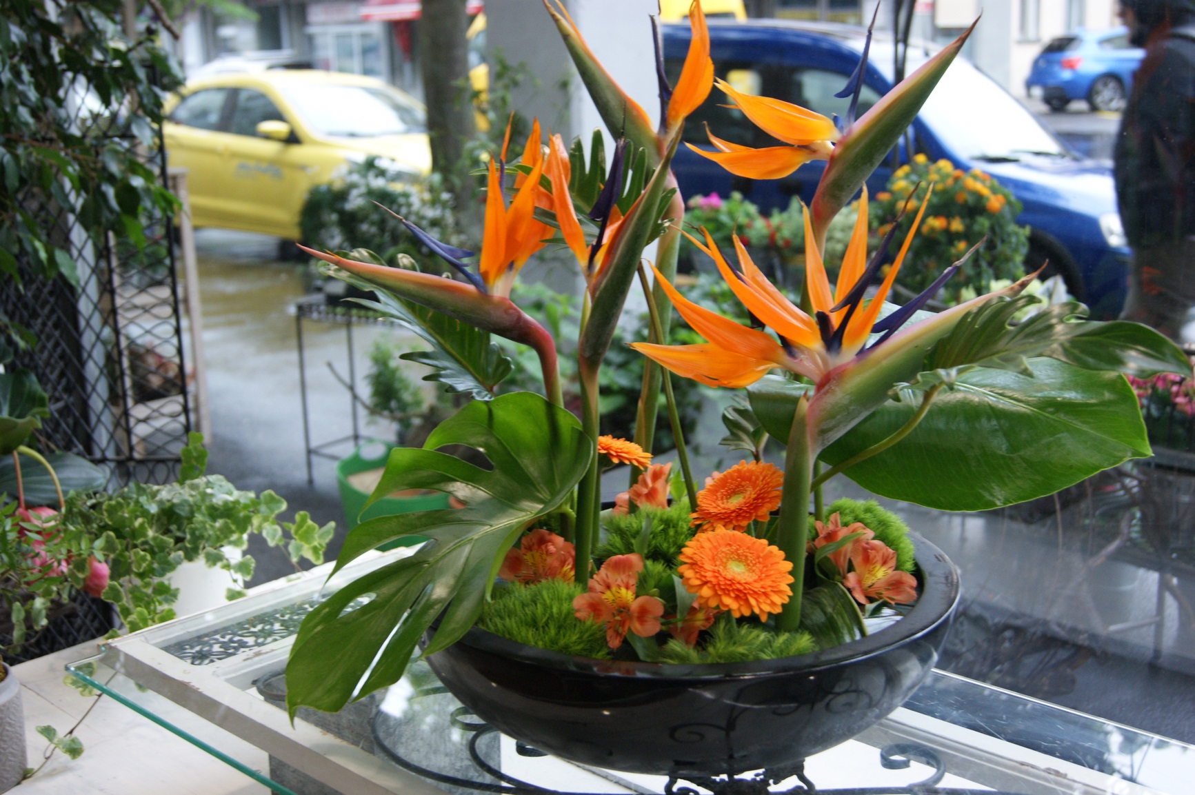 Arrangement design N° 6