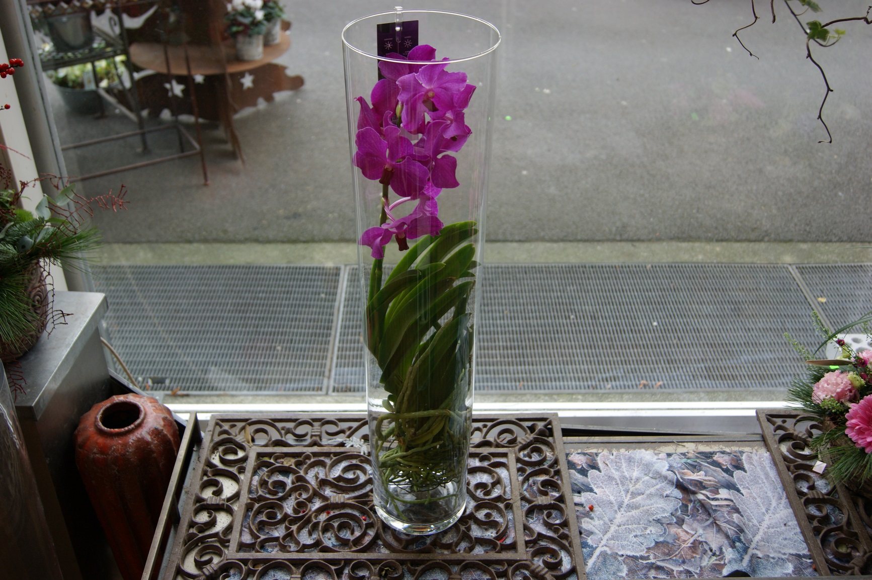 Orchidée vanda fuchsia avec un vase N° 4