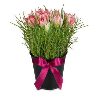 Charmant cadeau de Pâques N°6